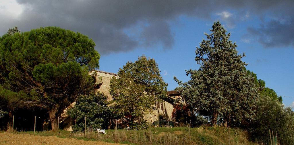 B&B Della Rosa Civitella D'Arna Exterior photo