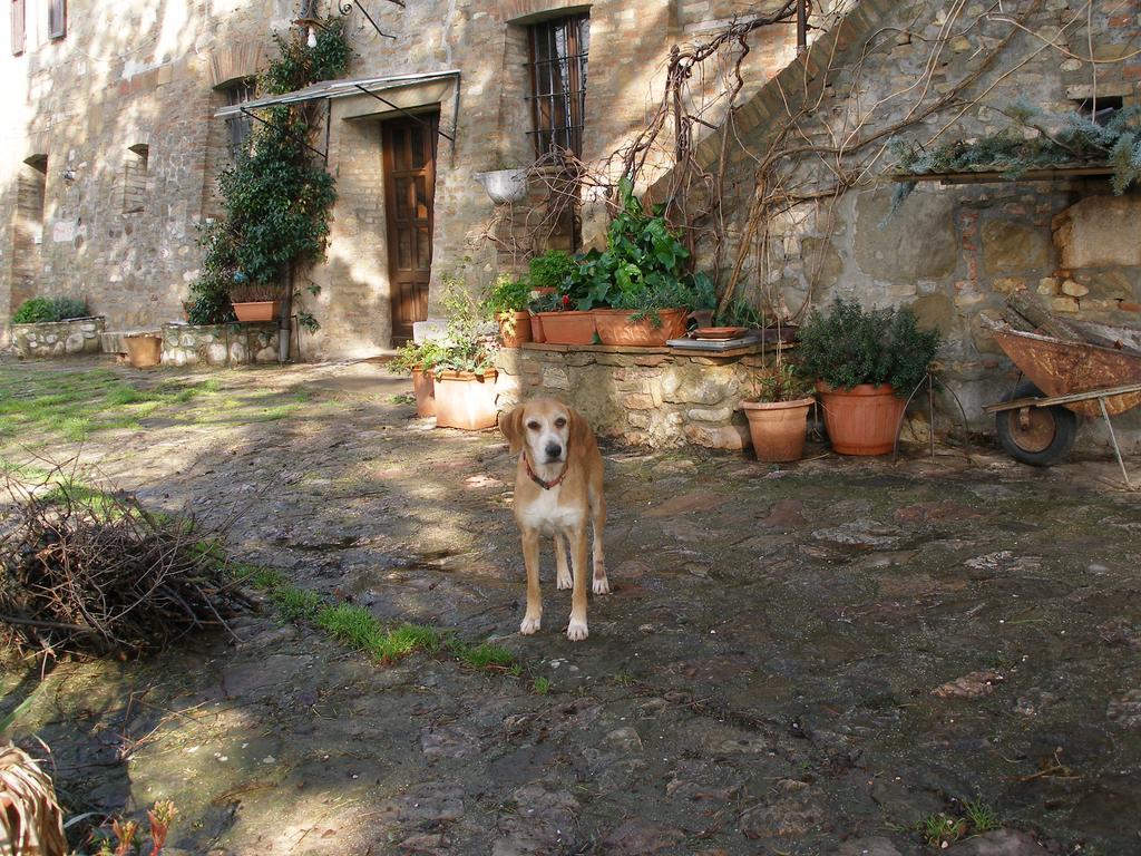 B&B Della Rosa Civitella D'Arna Exterior photo