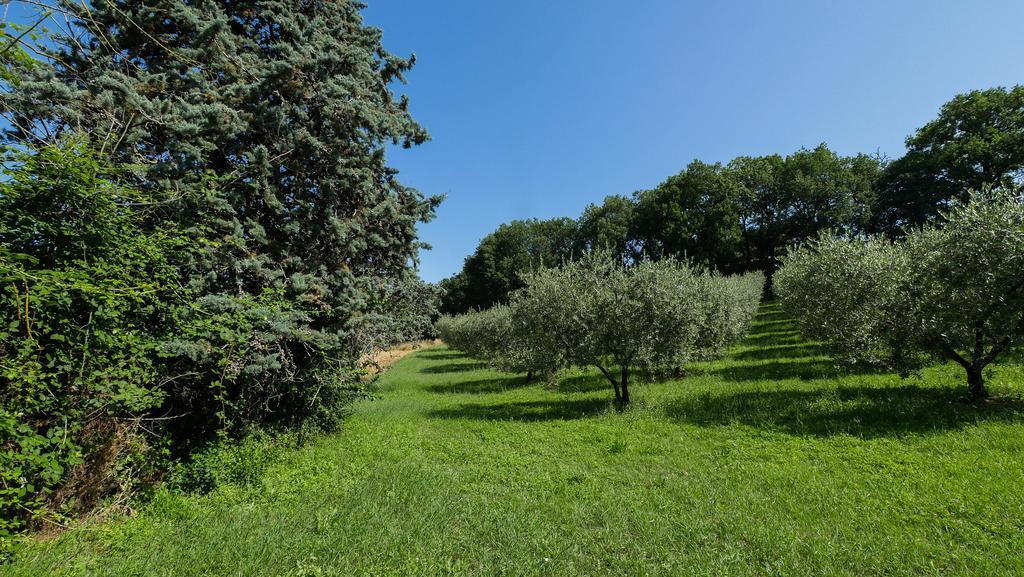 B&B Della Rosa Civitella D'Arna Exterior photo